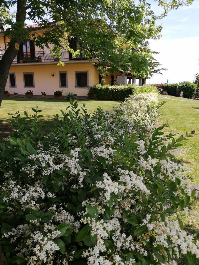 Agriturismo Bella Cima Montefiascone Exterior foto